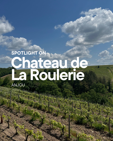 Spotlight On: Château de la Roulerie – Loire Valley Elegance