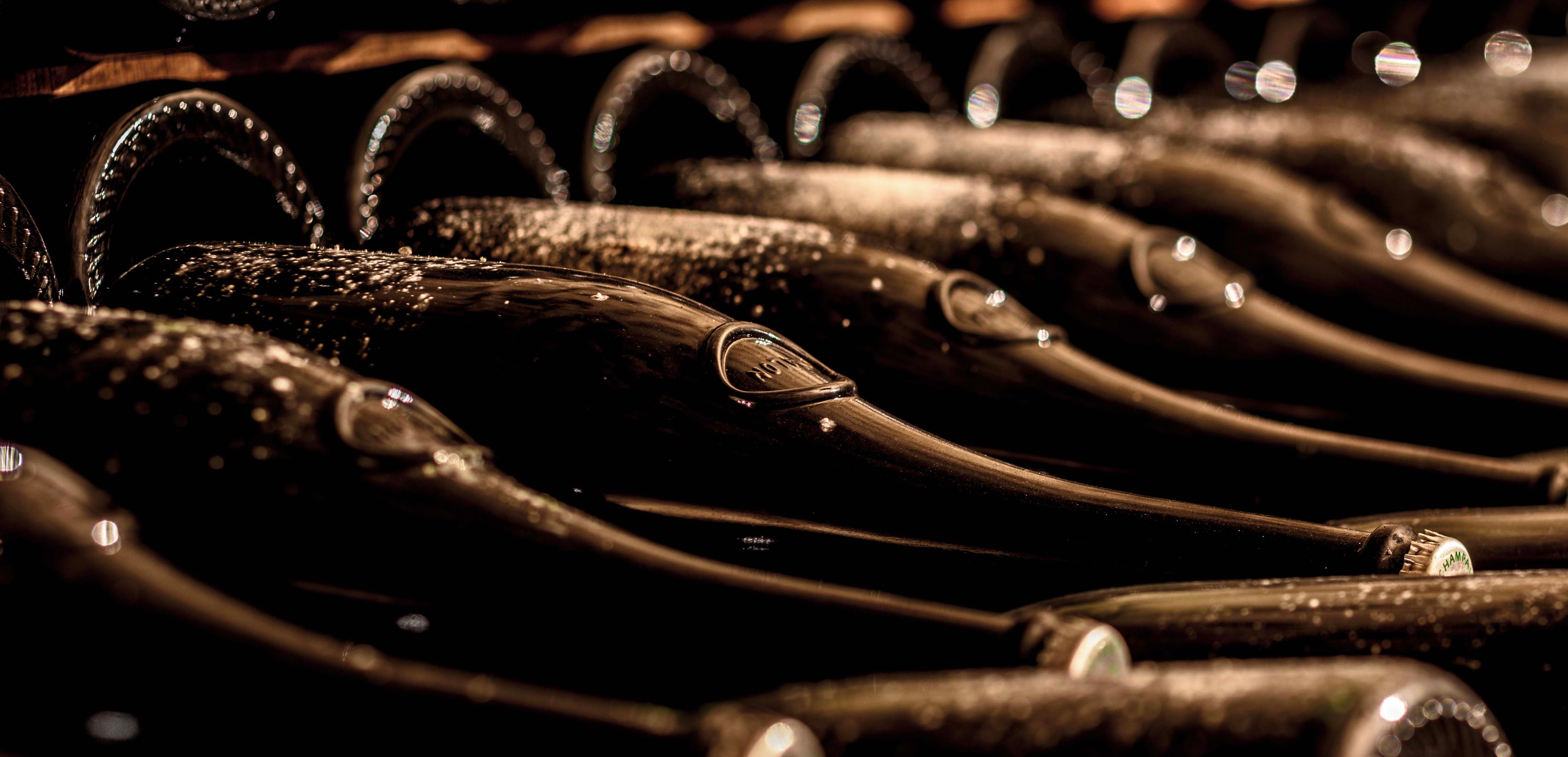 Champagne – Grower & Grand Marques Selection | The Vintage