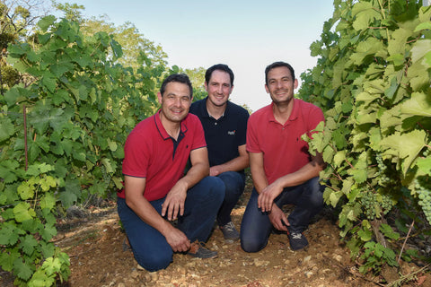 DOMAINE DE VILLARGEAU