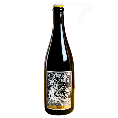 Domaine Frederic Mabileau - 'Anima' Sparkling 2022