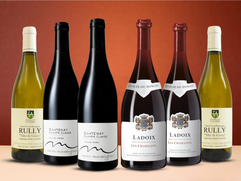 Vintage Sommelier's Box #2: Hidden Gems of Burgundy