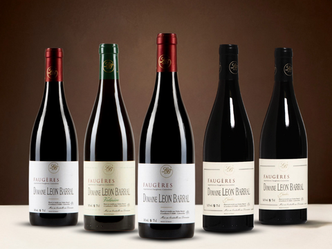 Vintage Sommelier's Box #16 - Domaine Leon Barral