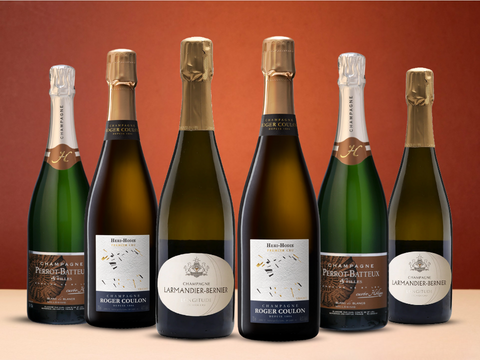 Vintage Sommelier's Box #3 : Grower Champagne Revelations