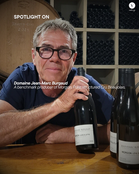 Spotlight On: Domaine Jean-Marc Burgaud