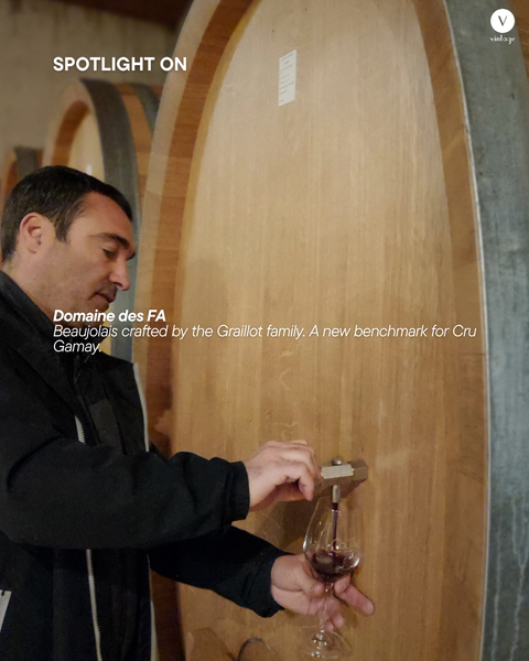 Spotlight On: Domaine des FA
