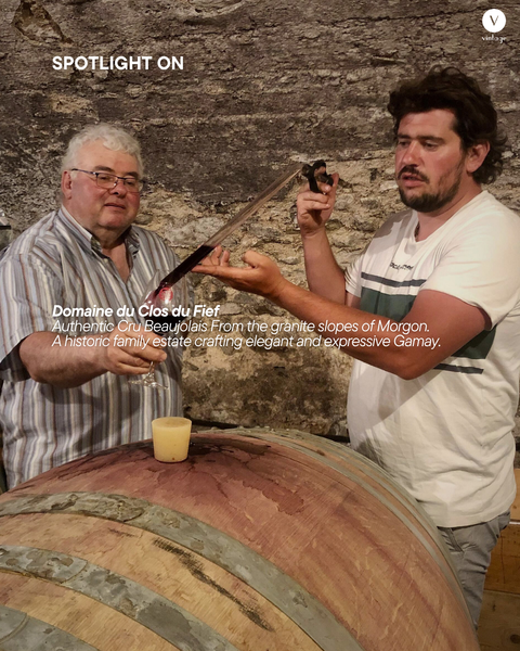 Spotlight On: Domaine du Clos du Fief