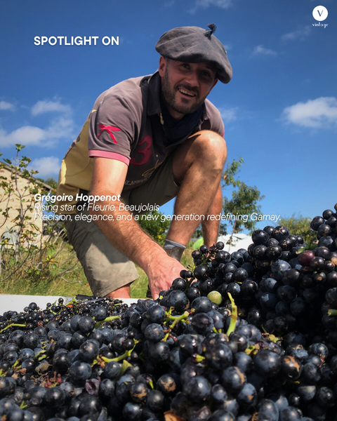 Spotlight On: Grégoire Hoppenot