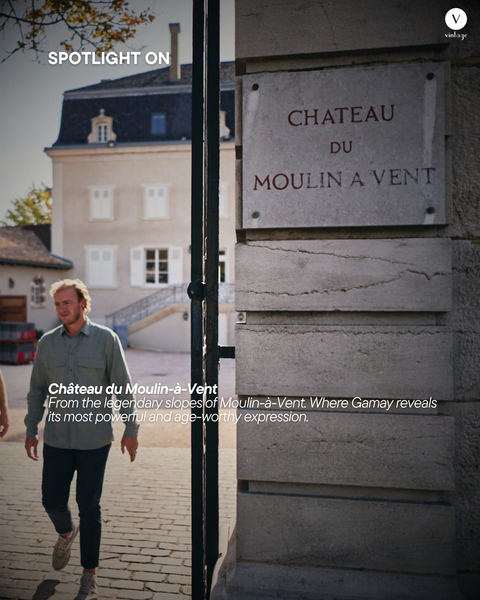 Spotlight On: Château du Moulin-à-Vent