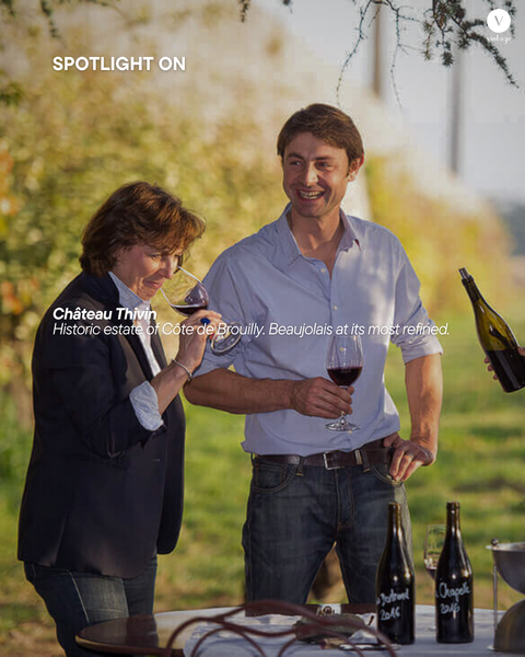 Spotlight On: Château Thivin