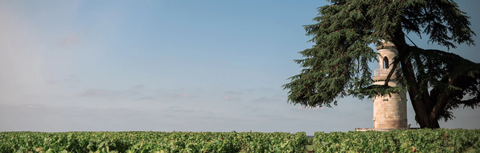 Left Bank vs Right Bank Bordeaux: What's the Difference?