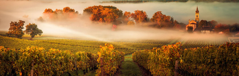 Bordeaux Second Wines Explained: How to Drink First-Growth Quality for Less