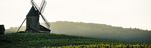 Cru Beaujolais Beyond Nouveau: The Ten Crus Worth Knowing