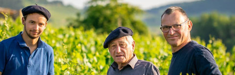 Domaine Vincent Bouzereau: A Meursault Family Name Worth Knowing