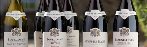 Chateau de Meursault: One of Burgundy's Largest Single Estates