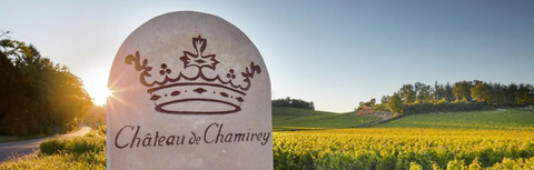 Chateau de Chamirey: Mercurey's Benchmark Estate