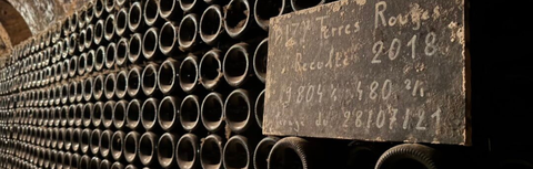 Vintage vs Non-Vintage Champagne: Is Vintage Worth the Premium?