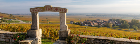 Domaine des Lambrays: The Monopole Behind Clos des Lambrays Grand Cru