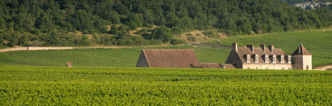 Chateau de Marsannay: The Cote de Nuits' Northern Gateway, Done Well
