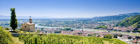 Northern vs Southern Rhône: What's the Difference?