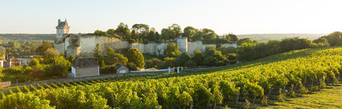 Loire Valley Chenin Blanc: A Style Guide From Bone-Dry to Lusciously Sweet