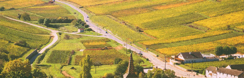 Négociant vs Domaine in Burgundy: Does It Matter Who's on the Label?