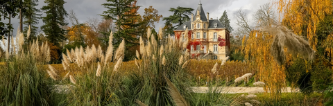 Bordeaux 2025 Vintage Report: What to Expect from En Primeur