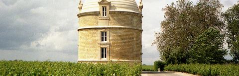 Bordeaux Wine Singapore: The Complete Buyer's Guide