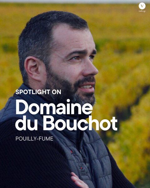 Spotlight On: Domaine du Bouchot – Precision in Pouilly-Fumé