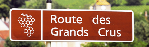 How to Read a Burgundy Wine Label: Complete Guide