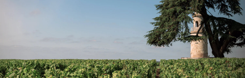 What is Bordeaux En Primeur? Complete Guide for Singapore Wine Buyers
