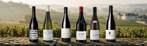 Spotlight on Loire Valley: Discover Exceptional French Wines Available in Singapore