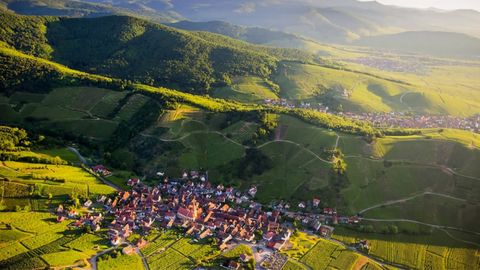 Wine from Alsace