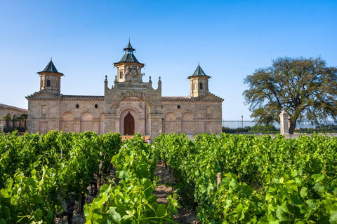 Wine from Bordeaux