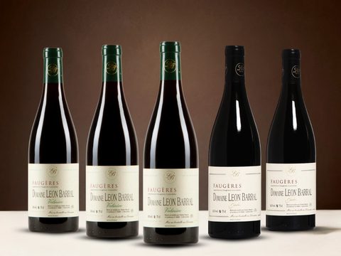 Vintage Sommelier's Box #16 - Domaine Leon Barral