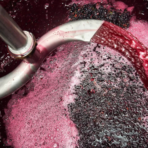 Organic & Biodynamic Wine