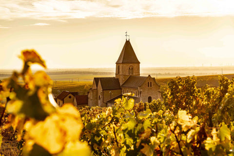 Champagne Days | Saturday 15 November