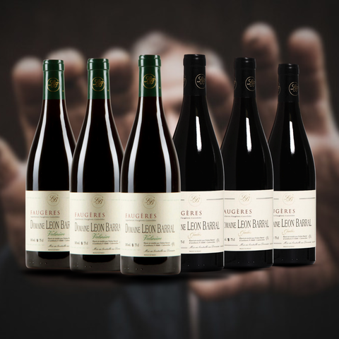 Vintage Sommelier's Box #16 - Domaine Leon Barral