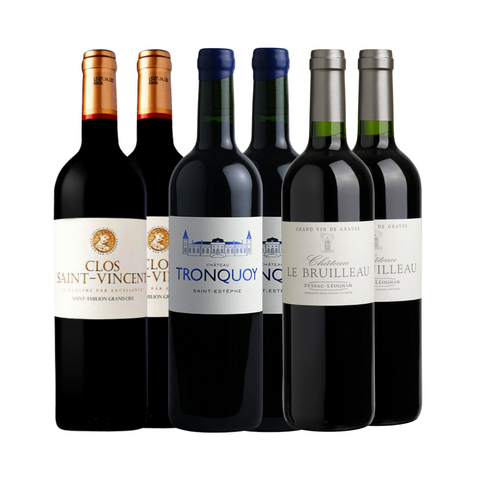 Collection of wine bottles from different brands on a white background