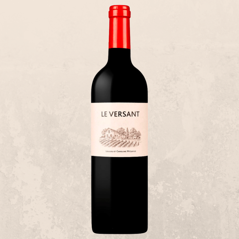 Domaine de L'Aurage - Castillon Cotes de Bordeaux 'Le Versant' red 2020