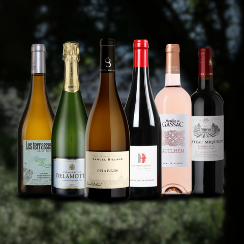 Vintage Sommelier's Box #5 : Survival Box