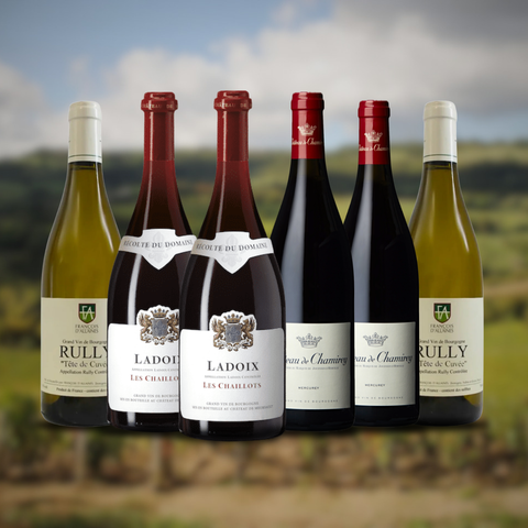 Vintage Sommelier's Box #2: Hidden Gems of Burgundy