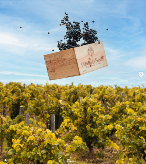 Meet The Winemaker - Château La Nerthe