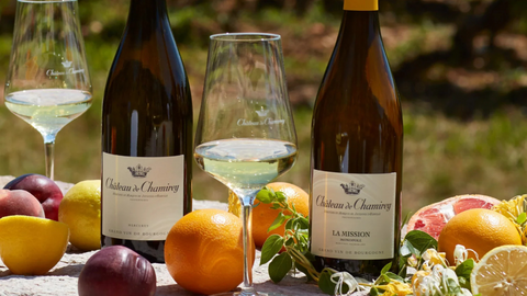 Two bottles of Chateau de Champey wine with glasses and fruit on a wooden table outdoors. Chateau de Chamirey La Mission Now or Never Singapore