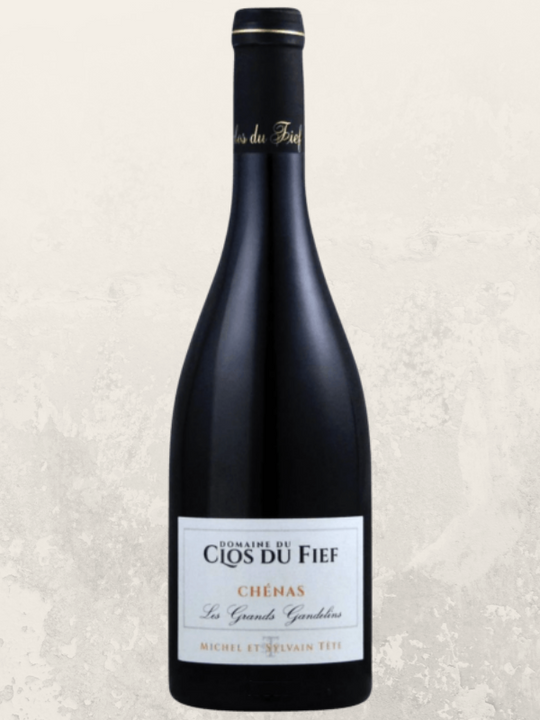 Domaine du clos du Fief Chenas Les Grands Gandelins 2022