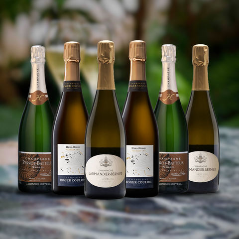 Vintage Sommelier's Box #3 : Grower Champagne Revelations