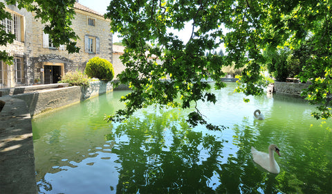 CHATEAU LA GENESTIERE