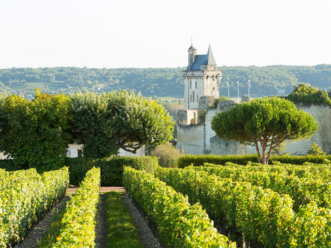 Loire valley Vineyard Castle with a moat and manicured gardens