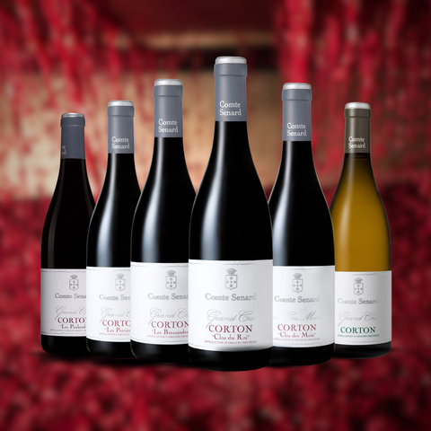 Vintage Sommelier's Box #14 - Comte Senard 'Grand Cru Corton' 2019