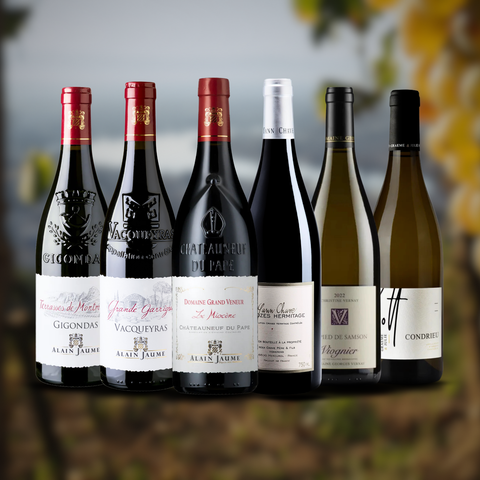 Vintage Sommelier's Box #8 : Journey through Rhone Valley vineyards