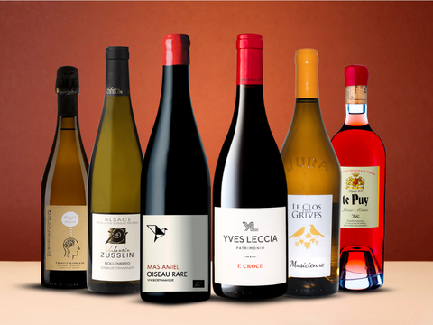 Vintage Sommelier's Box #10: The Discovery Box (Box of 6)